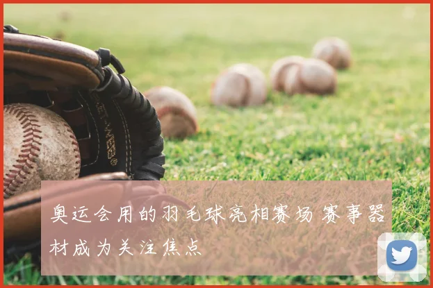 奥运会用的羽毛球亮相赛场 赛事器材成为关注焦点