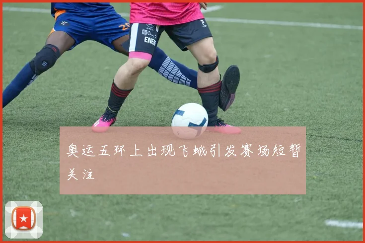 奥运五环上出现飞蛾引发赛场短暂关注
