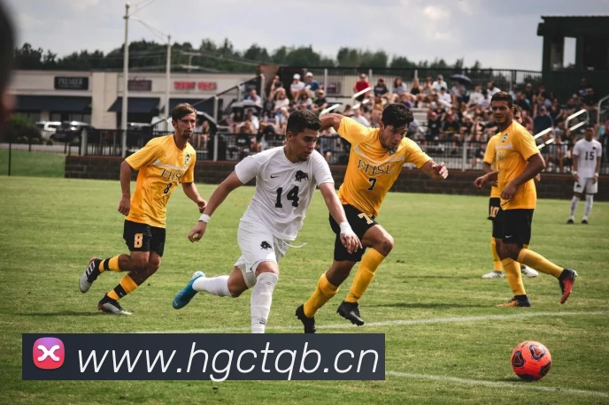 App Interface Preview